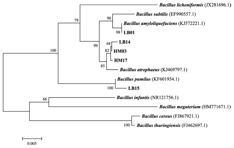 Fig. 2