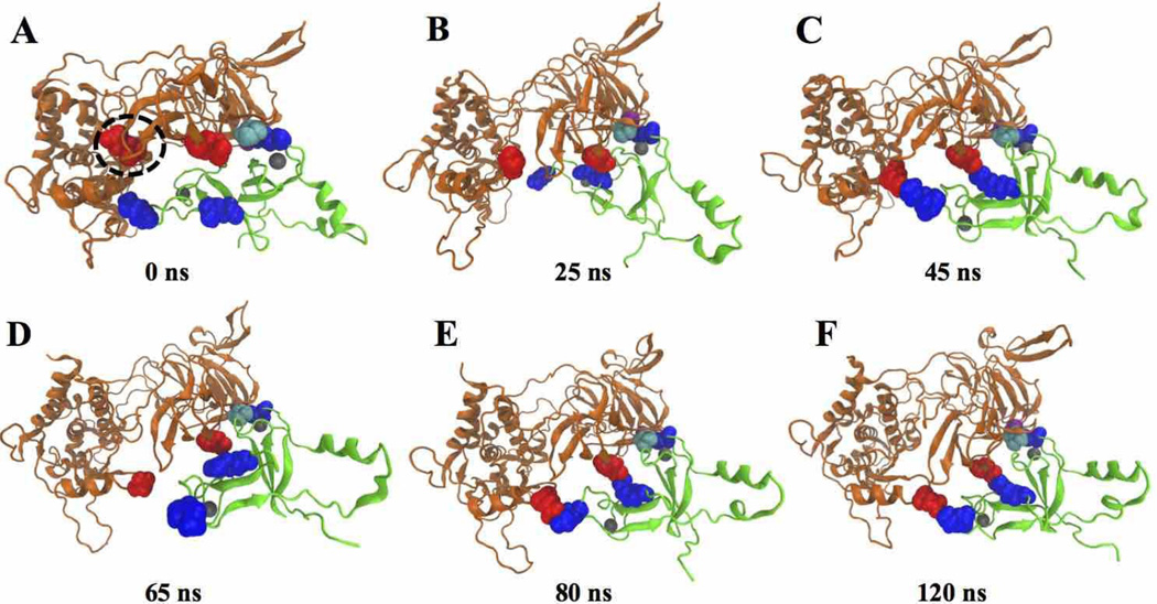 Fig. 3