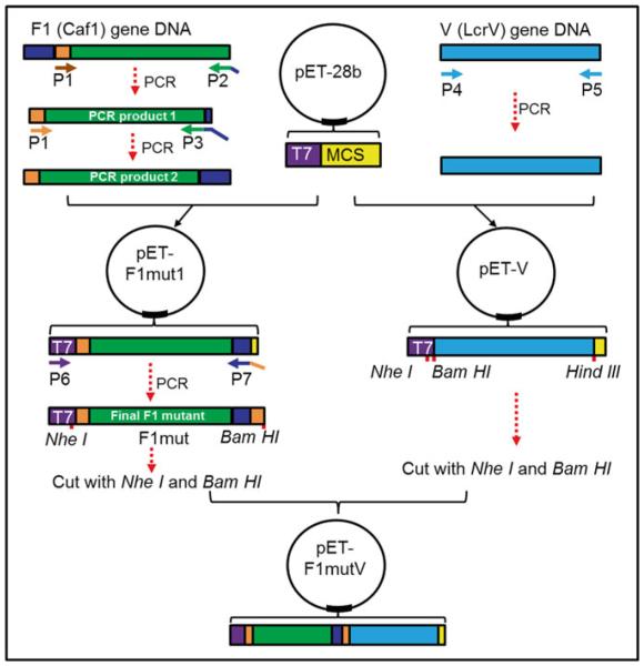 Fig. 2