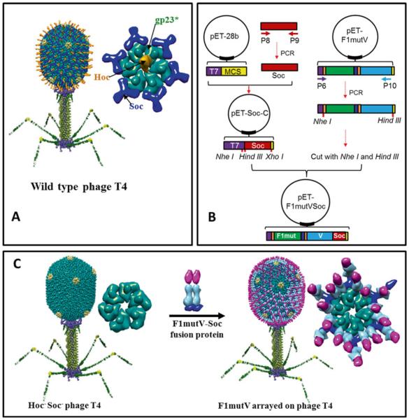 Fig. 3