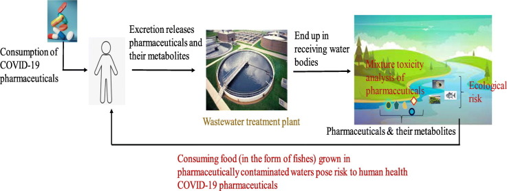 Unlabelled Image