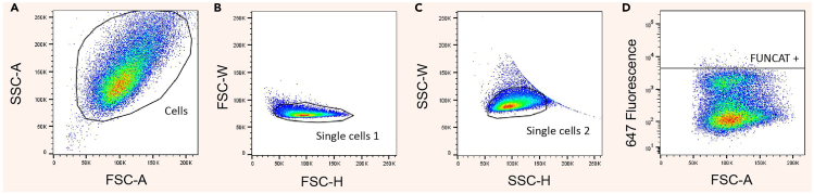 Figure 6