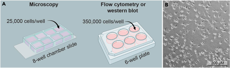 Figure 2