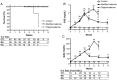 FIGURE 2: