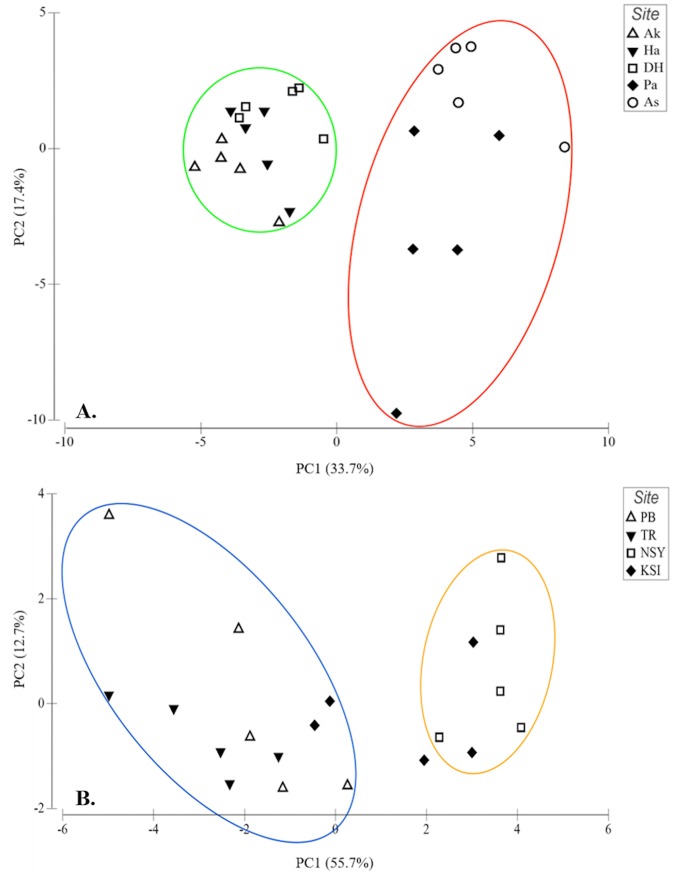 Fig 5