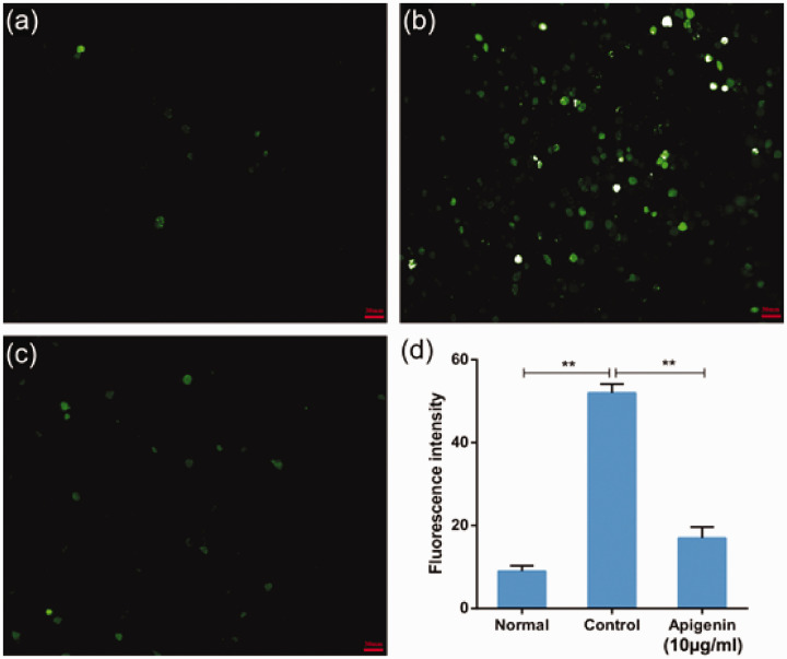 Figure 3.