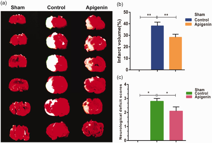 Figure 6.