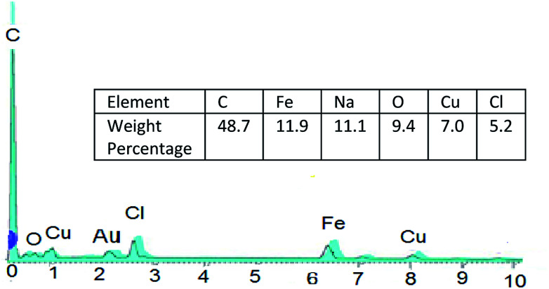 Fig. 5