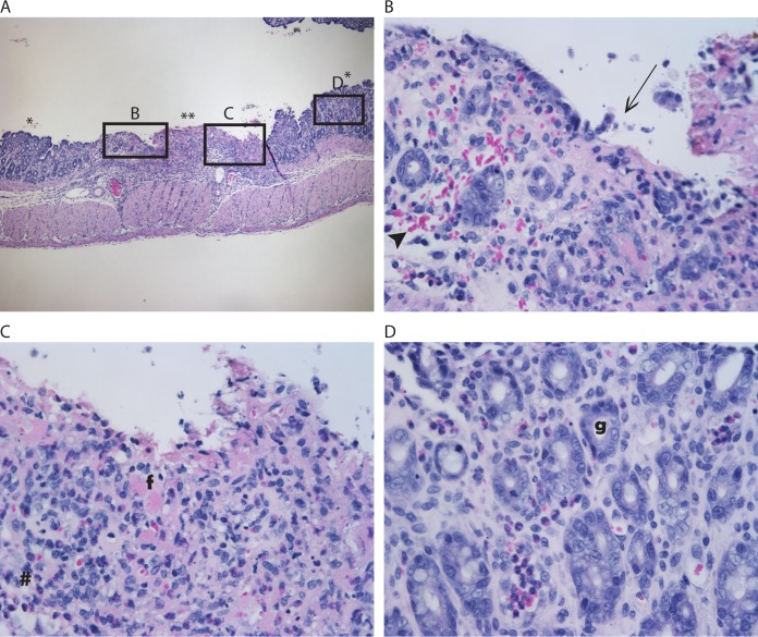 FIG 2