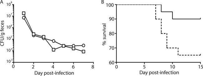 FIG 3