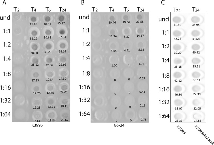 FIG 4