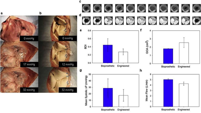 Fig. 10