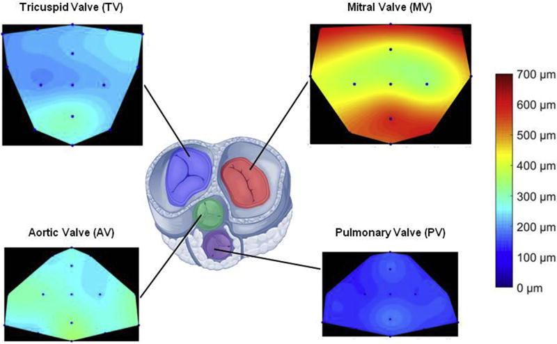 Fig. 3