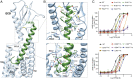 Fig. 2.