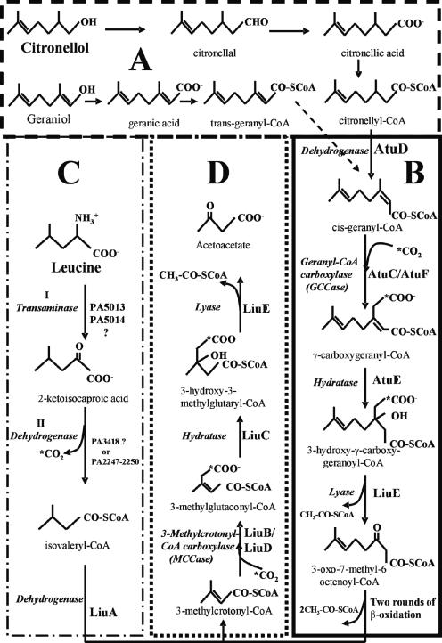 FIG. 1.