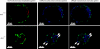 FIG. 8.