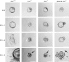 FIG. 7.