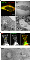 FIG 4