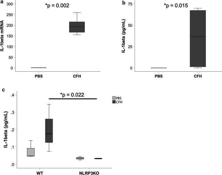 FIGURE 1