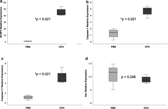 FIGURE 3