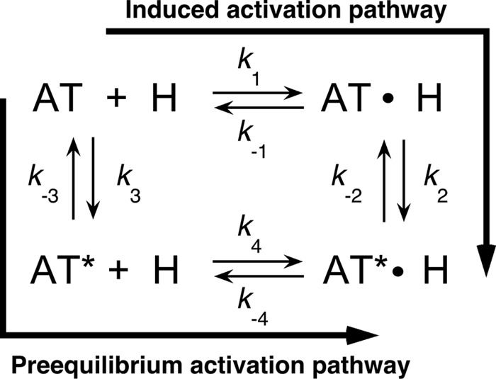 SCHEME 1.