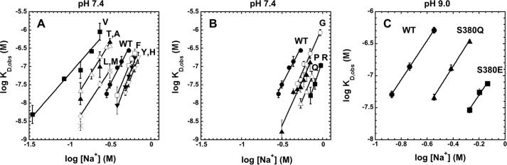 FIGURE 4.