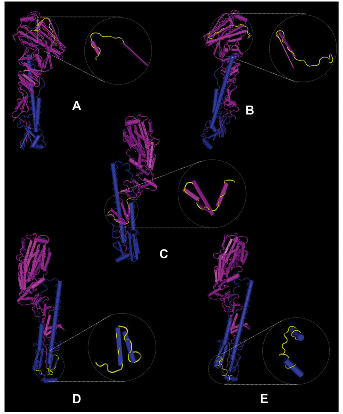 Figure 5.