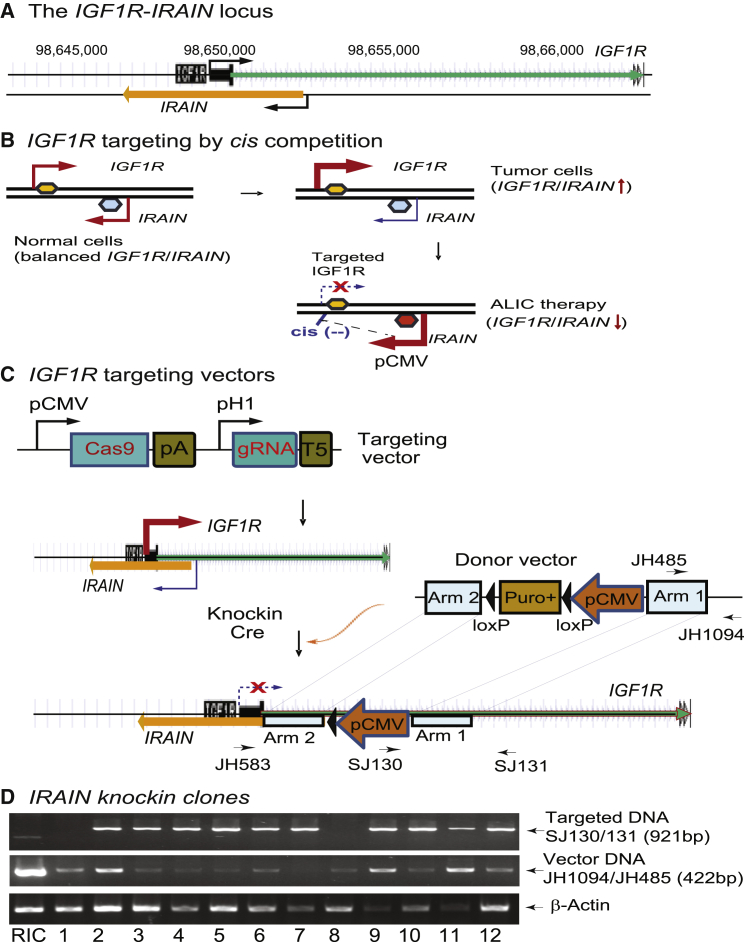 Figure 1