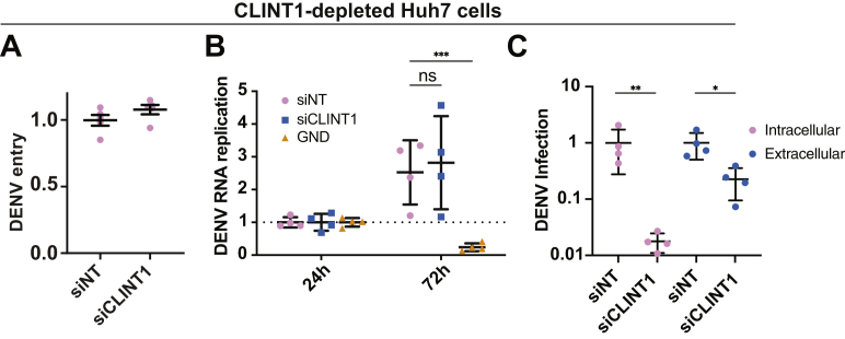 Figure 6