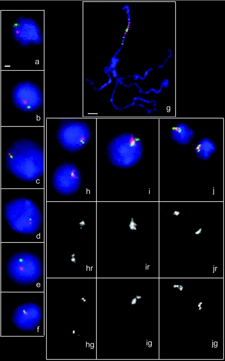 FIG. 2.