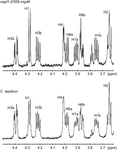 Figure 6.