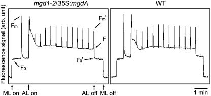 Figure 8.