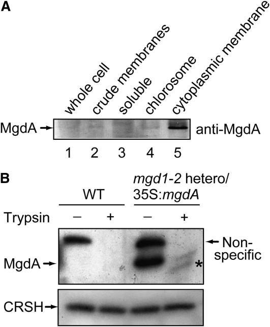 Figure 2.