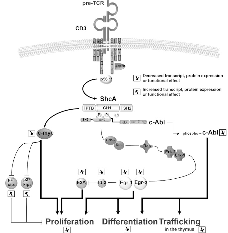 FIG 9