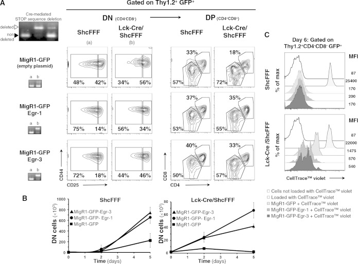 FIG 6