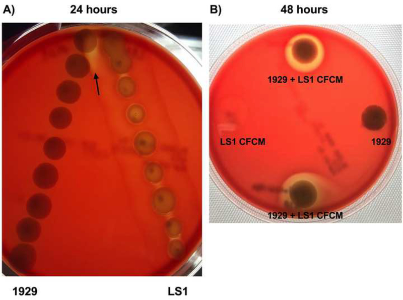 Figure 3.