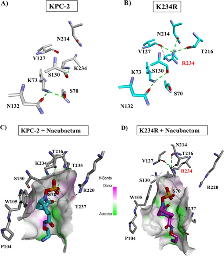 FIG 6