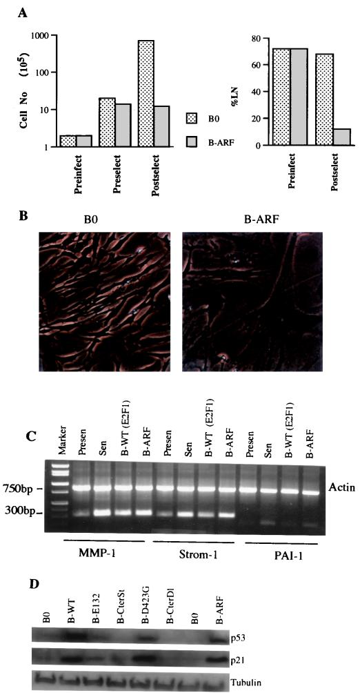 FIG. 5