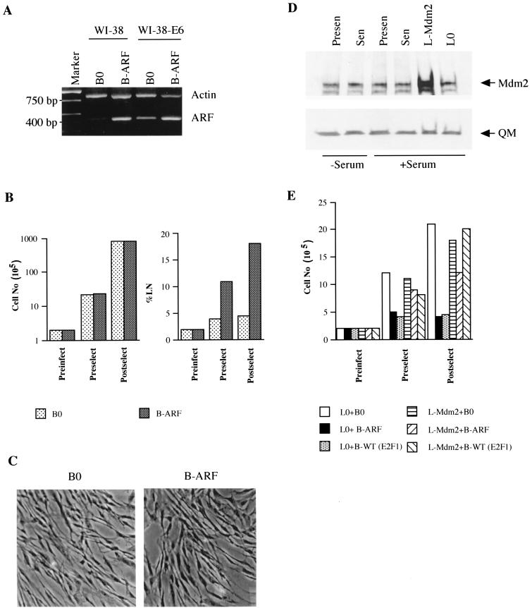 FIG. 6