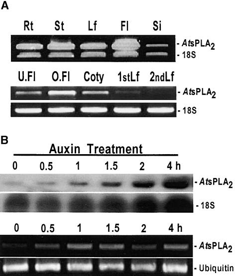 Figure 3.