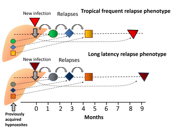 Figure 22