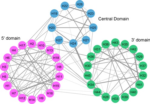 Figure 5.