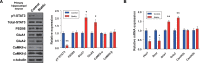 Figure 3—figure supplement 1.