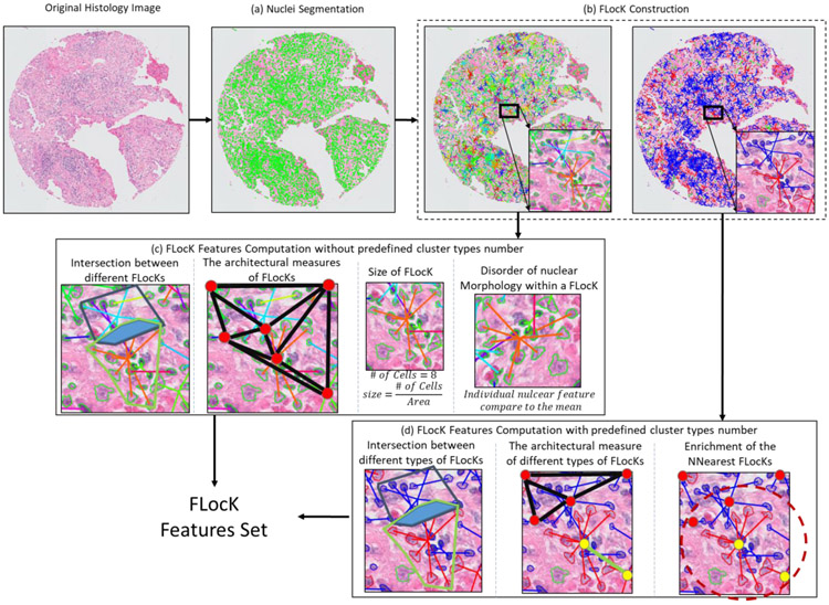 Figure 2: