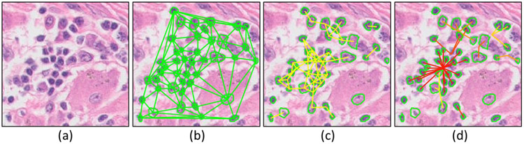 Figure 1: