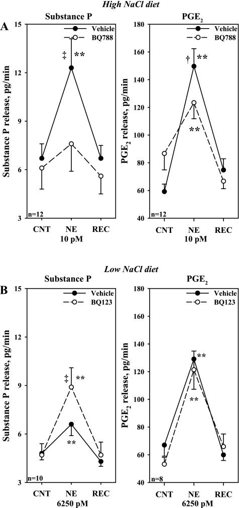 Fig. 12.