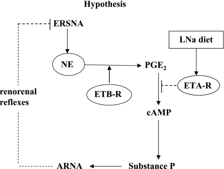 Fig. 14.