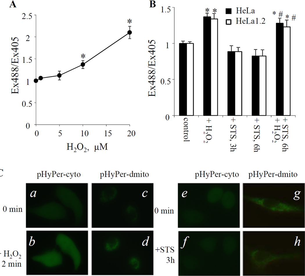 Fig. 4