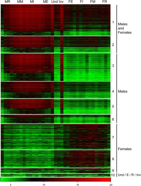 Figure 6