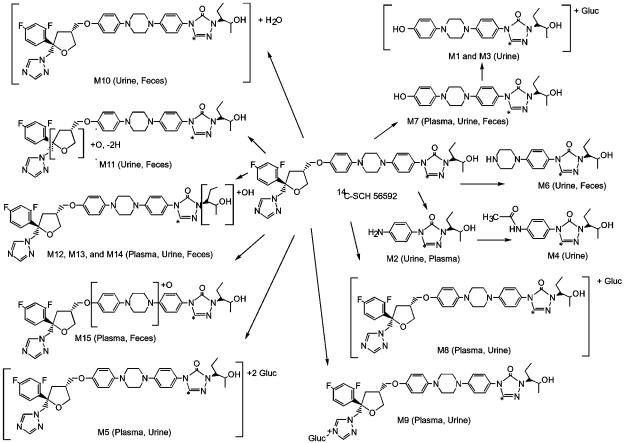 FIG. 7.